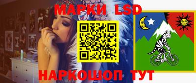 шишки Татарск